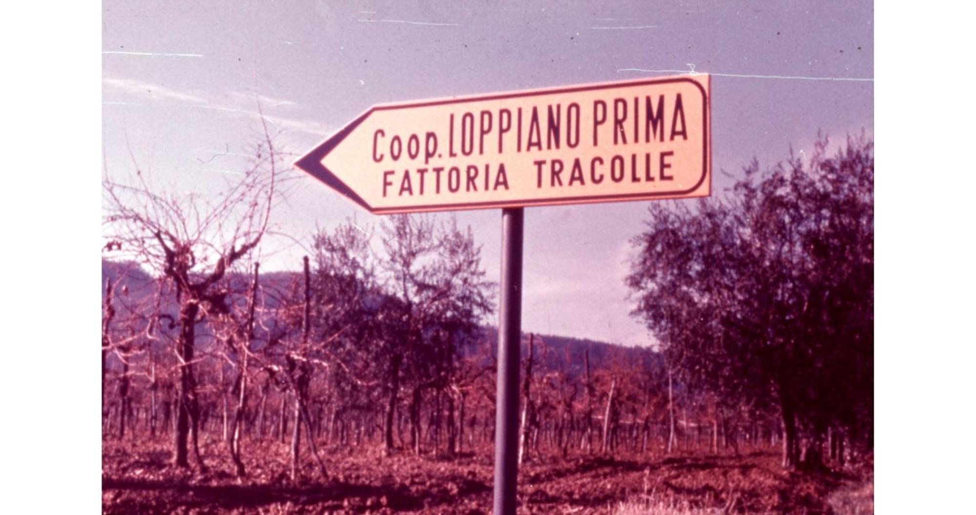 Agriturismo Fattoria Di Loppiano Regina Mundi Villa Vivajo Bagian luar foto